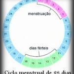 tabela-do-periodo-fertil tabela-do-periodo-fertil