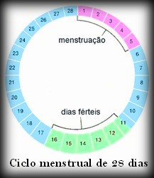 tabela-do-periodo-fertil